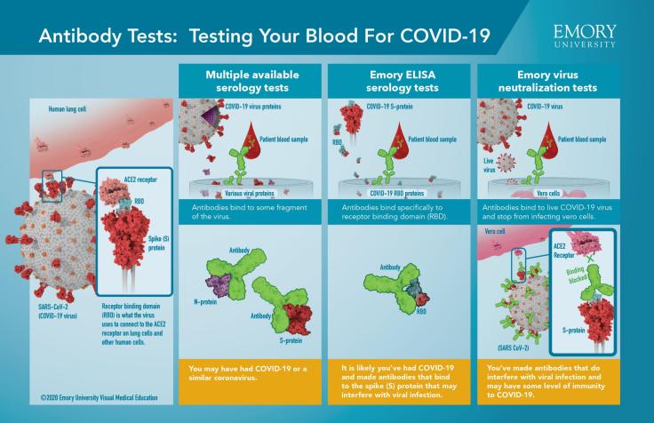 covid_serology_infographic